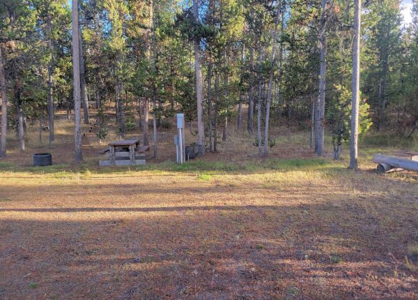 WP9 RV Campsite Gallatin Forest