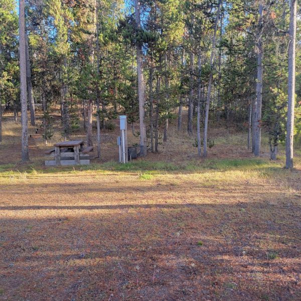 WP9 RV Campsite Gallatin Forest