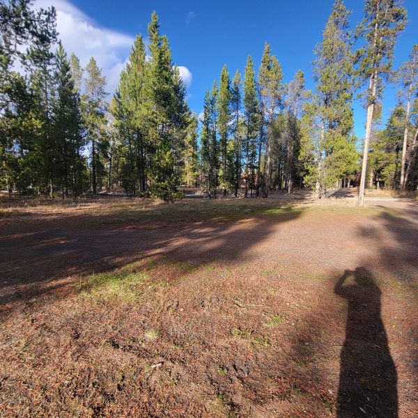 Wooded Hillside Campsites From Afar Madison Arm Resort