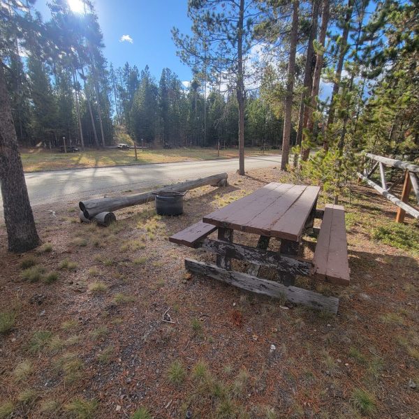 Yellowstone Dry Camping T22