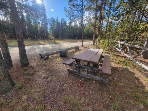 Yellowstone Dry Camping T22