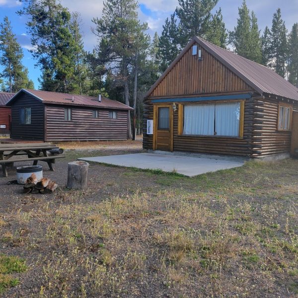 Cabin 2 Rear Madison Arm