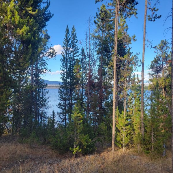 Lakeview From Cabins and Cottages