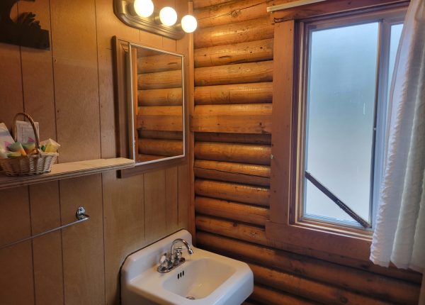 bathroom cabin 2