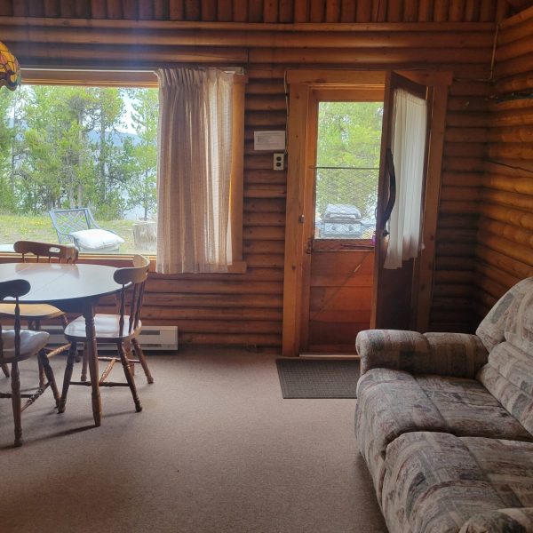 cabin 2 living room