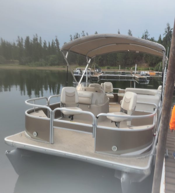 20′ Godfrey Sweetwater Pontoon Boat Half Day AM Rental (9am-1pm)