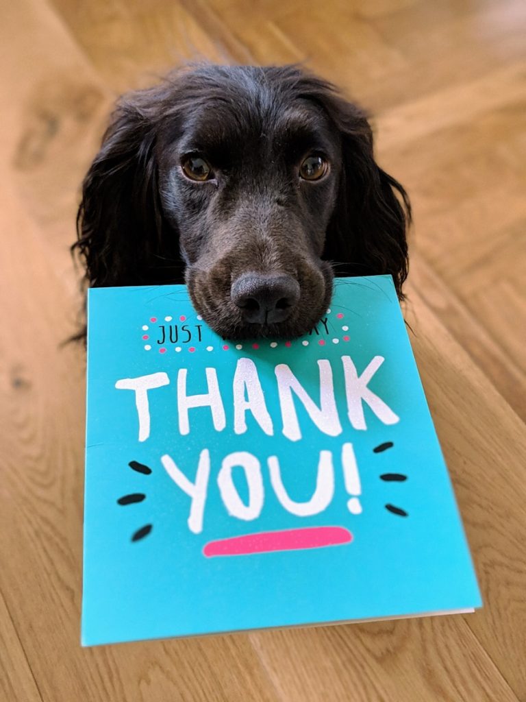 Dog With Thank You Note