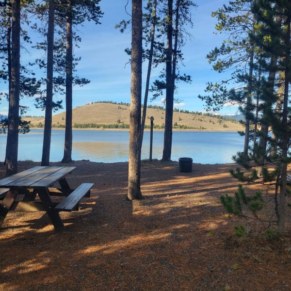 T2 Lakeside Tent Site - Madison Arm Resort Hebgen Lake