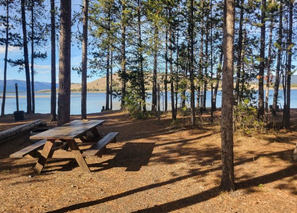 T3 Lakeside Tent Site - Yellowstone National Park Camping
