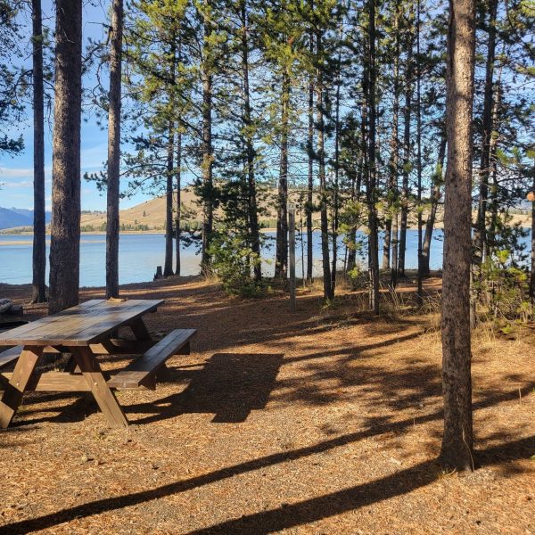 T3 Lakeside Tent Site - Yellowstone National Park Camping